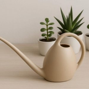 2 Modern Plastic Watering Can with Long Spout for Houseplants Succulents and Precise Small Indoor Flower Pot Watering